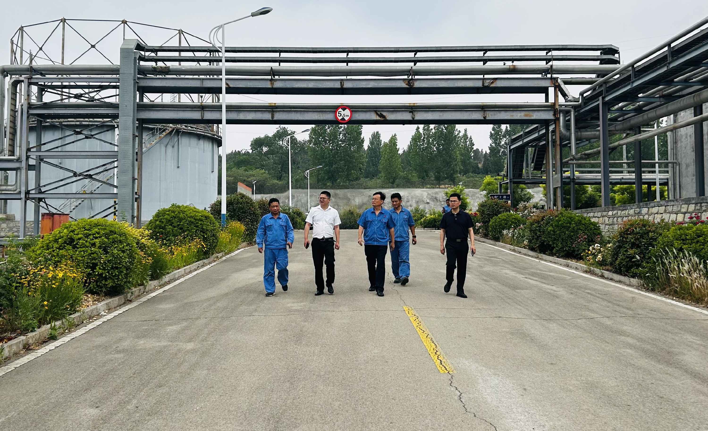 1717486977921846.jpg 1717486977921846.jpg