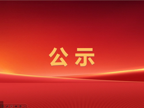 辰龍集團安全生產(chǎn)工作報告